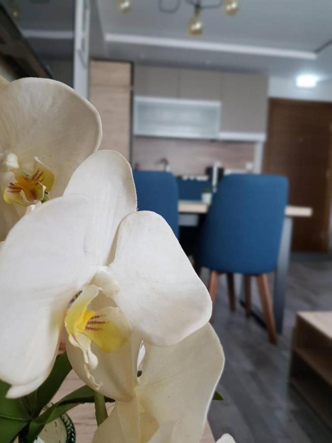 Apartman Premier 32 Milmari Копаоник Екстериор снимка